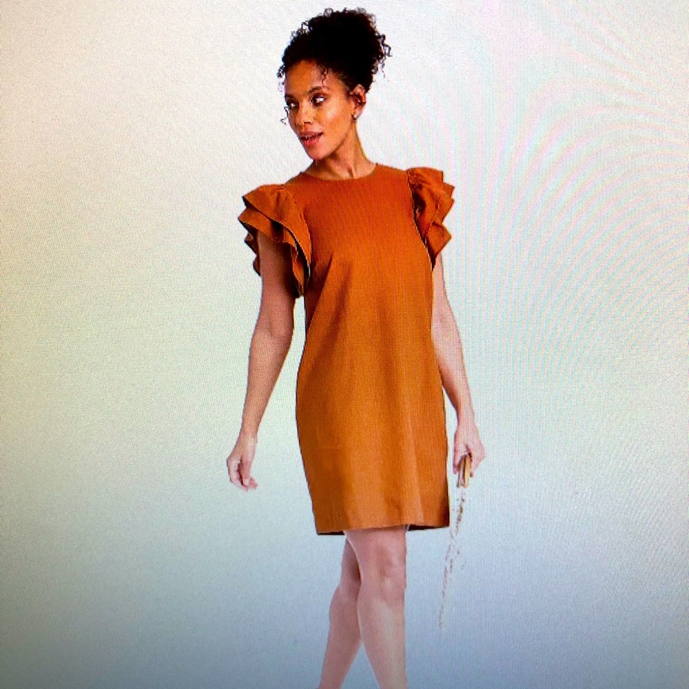 Ruffle Sleeve Dress
